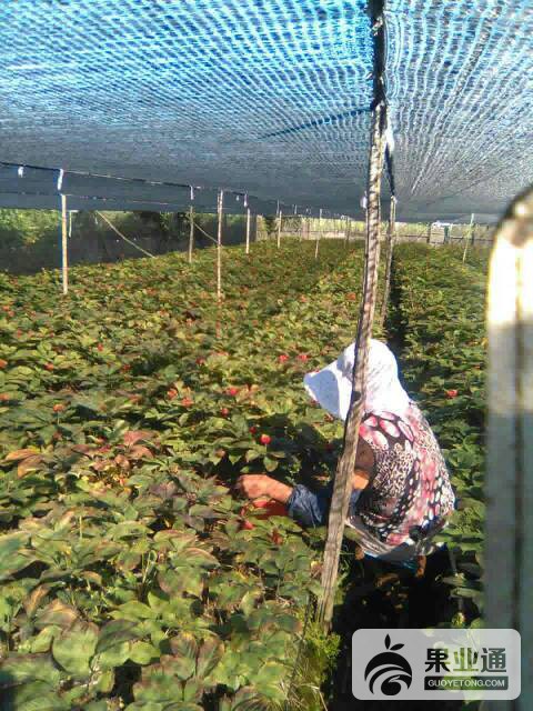 072247khtbod35p4phdtzh.jpg