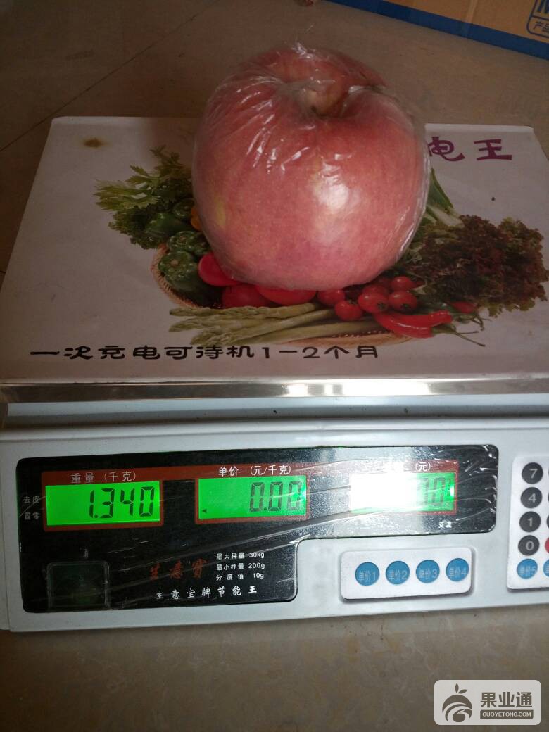 184838mnih0dy4zd44izka.jpg