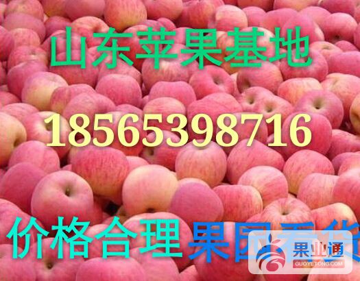 QQ图片20160923193336.jpg