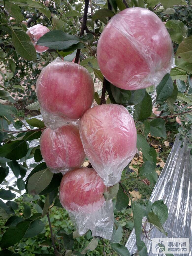 161658ouuvzxxykcuuwu2r.jpg