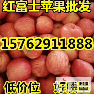 QQ图片20160224104754_副本.jpg