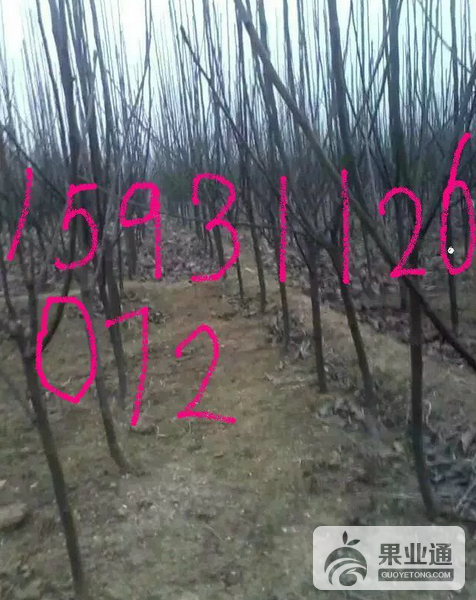 QQ图片20161205195037.png
