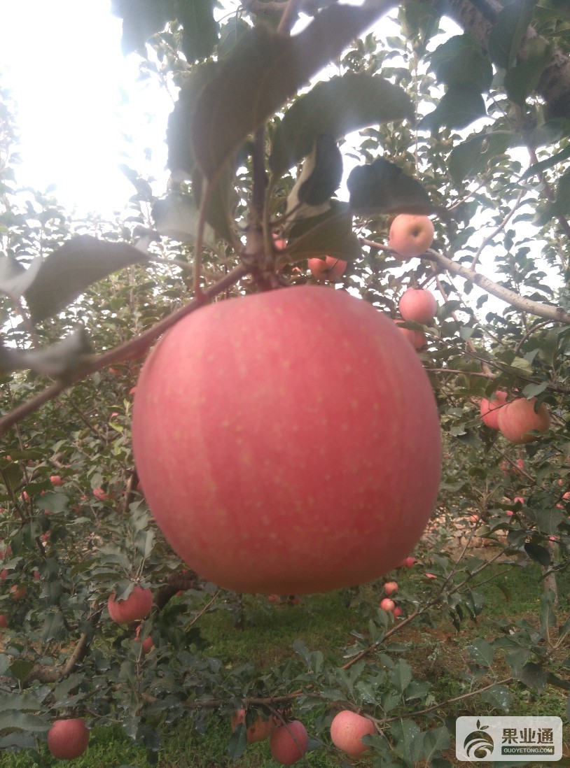 IMG_20161019_141817.jpg