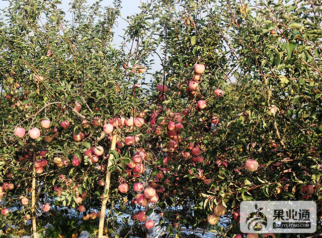 IMG_9787.JPG