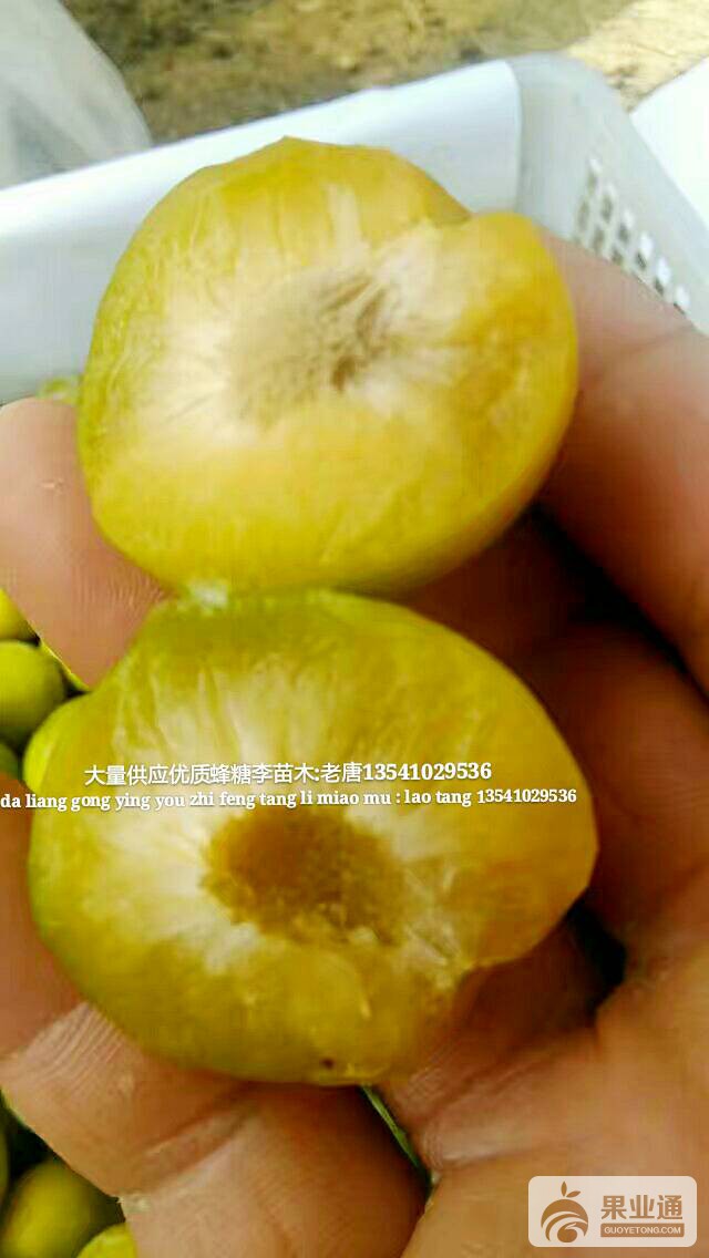 102632l0gvw8n5nv4dkwpn.jpg