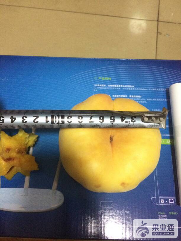 101758g3gadpw3icawghhk.jpeg