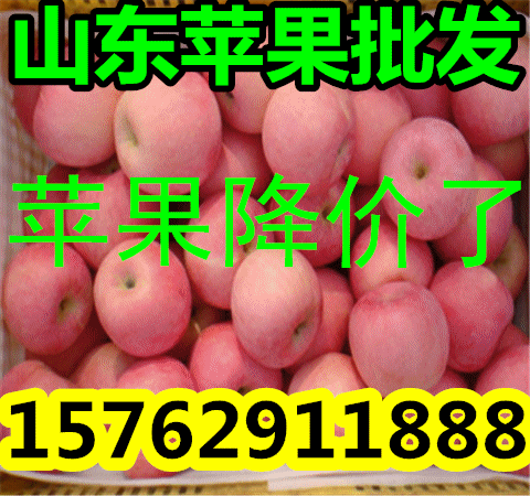 20090924-165938-524-93864_副本.gif