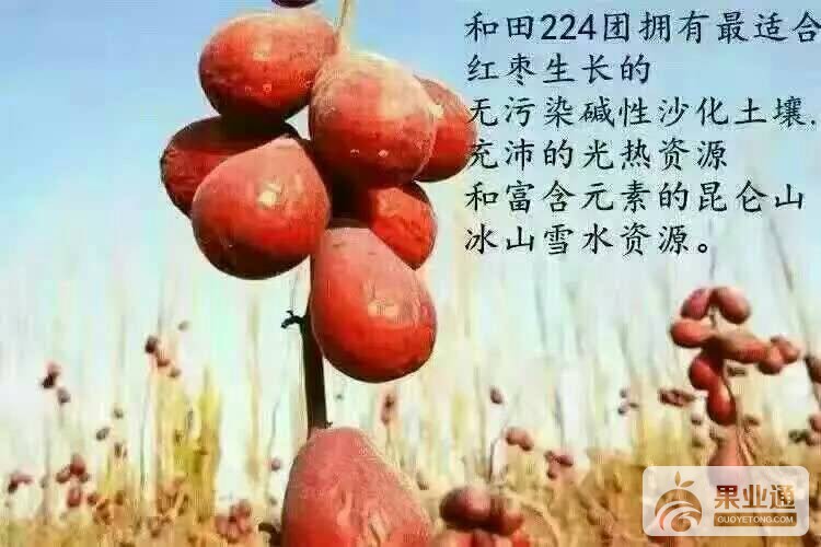 171119nkk1llf3n19l97gw.jpg