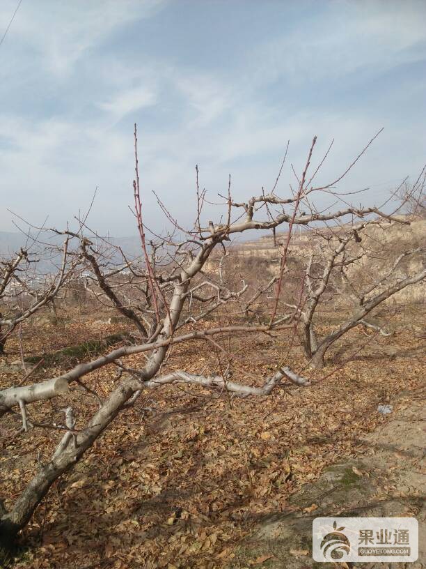 190429uwyynhnd2ydaacak.jpg