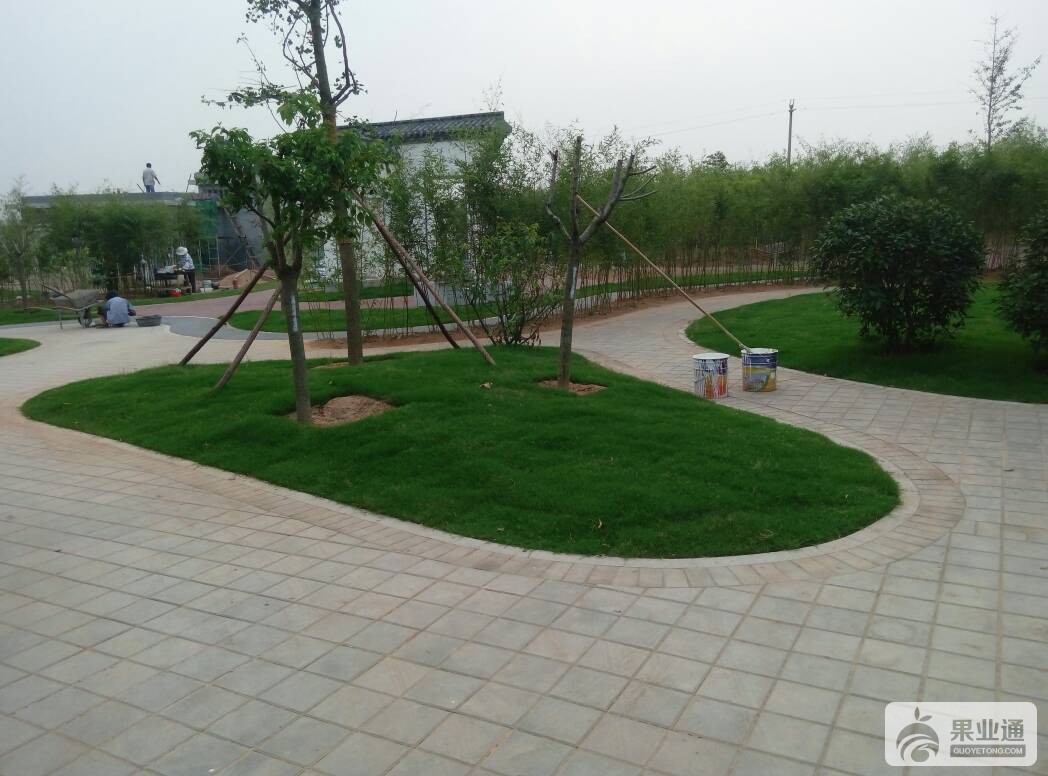 203732v1l201jv1zn0vreo.jpg
