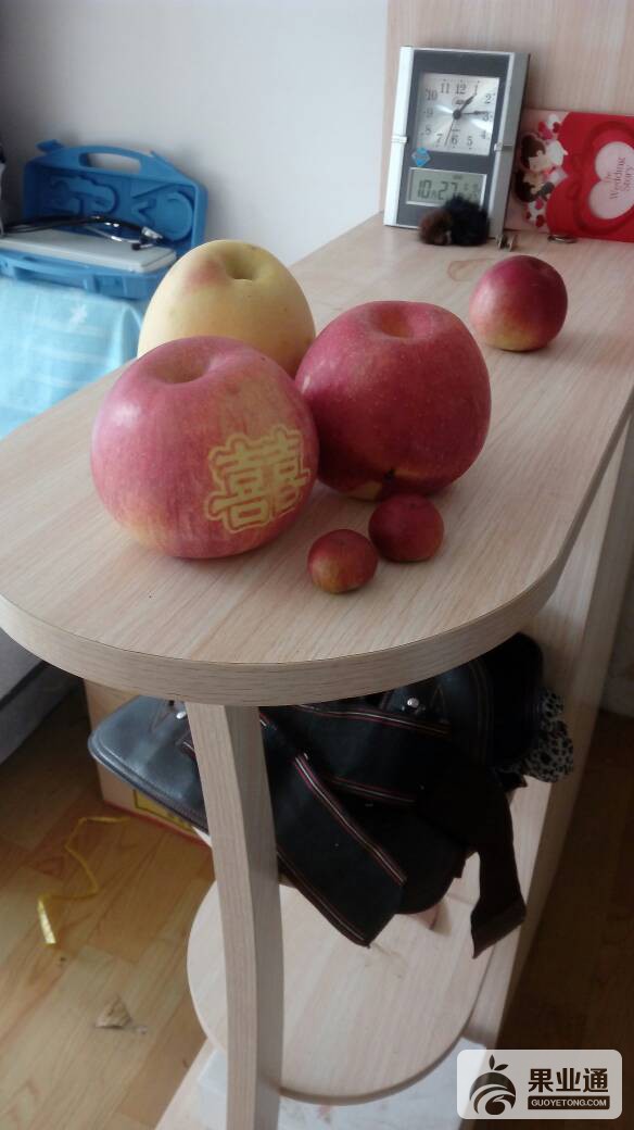 080628e1810f0rzirb0rrv.jpg