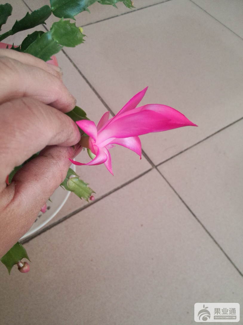 IMG20161128155412.jpg