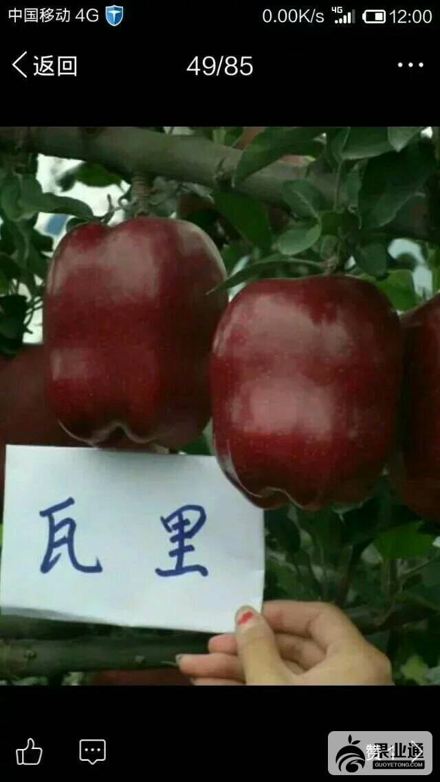 081348owrd0jlq0neq026q.jpeg