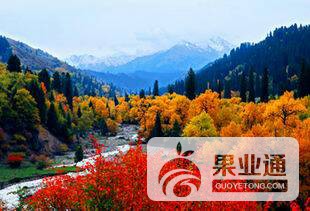 164259jmemsats0dd9a9x9.jpg