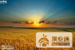 164259olb36bm6m7vu8064.jpg
