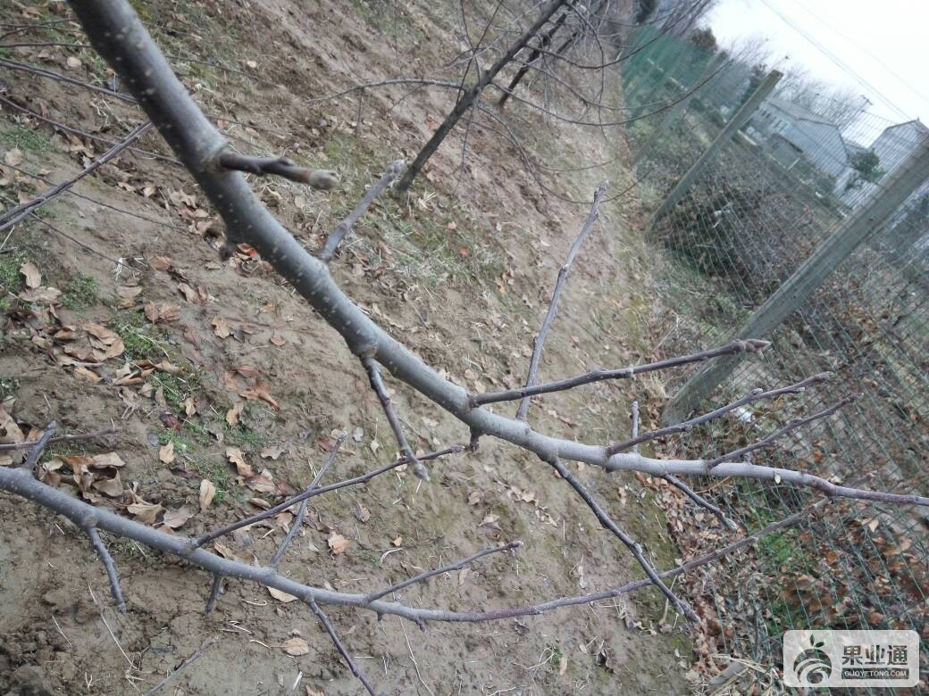 183127unz3uffttgpu9u32.jpg