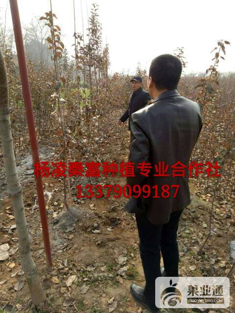 055645xe5ekj3pb8pdikp3.jpg