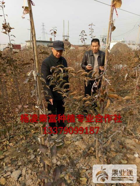 055646qsyfy759pxz969y5.jpg