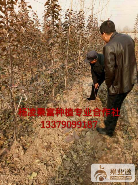 055648n8pcnmf5iz9vm35l.jpg