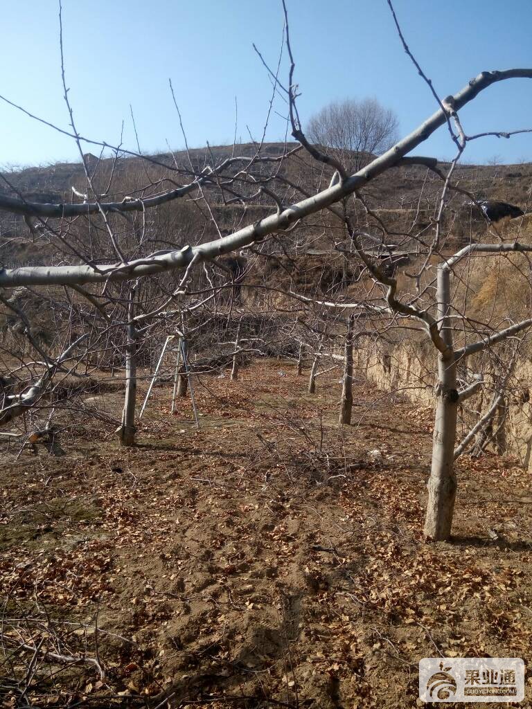 000600kiq1wlukyudyiikd.jpg