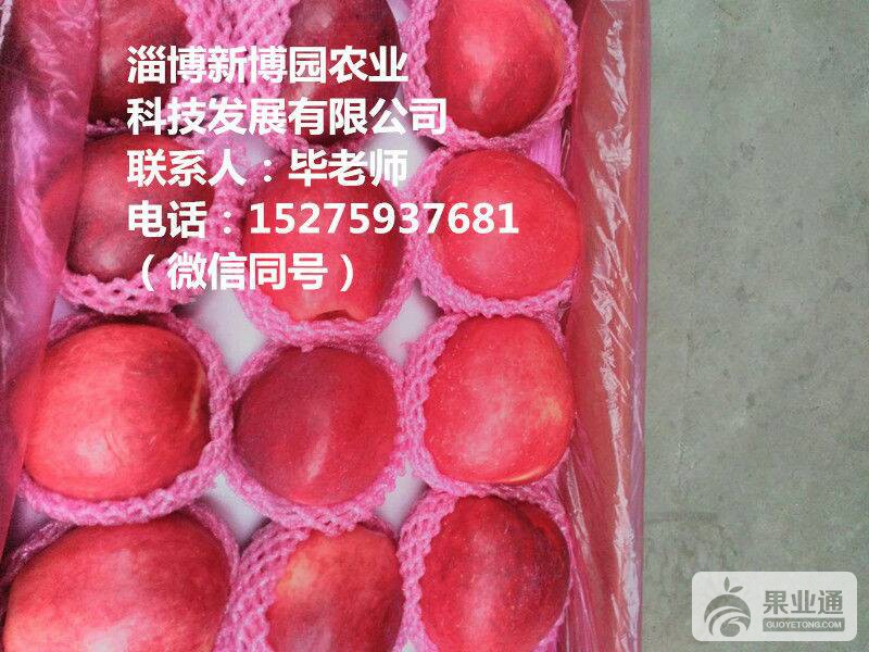 101319k2rr2e16ioraa1q3.jpg