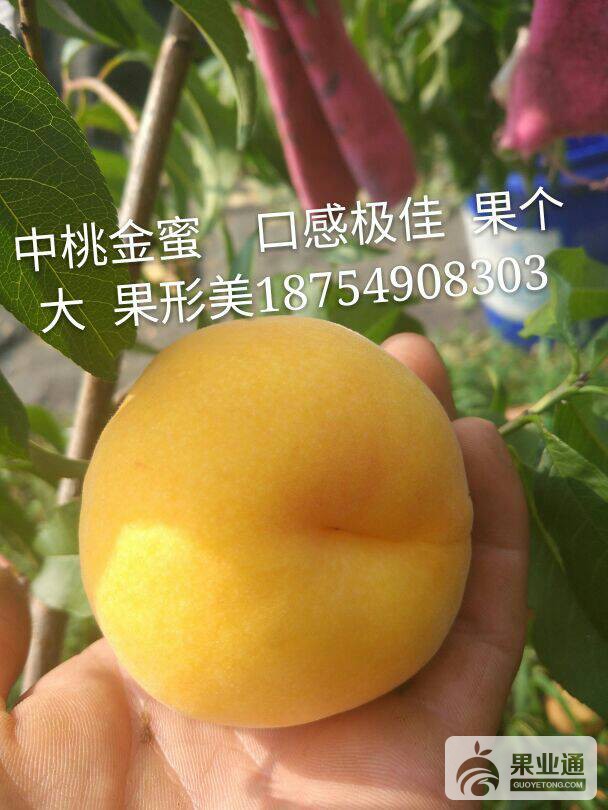224642aw2bppee20wbc88p.jpg