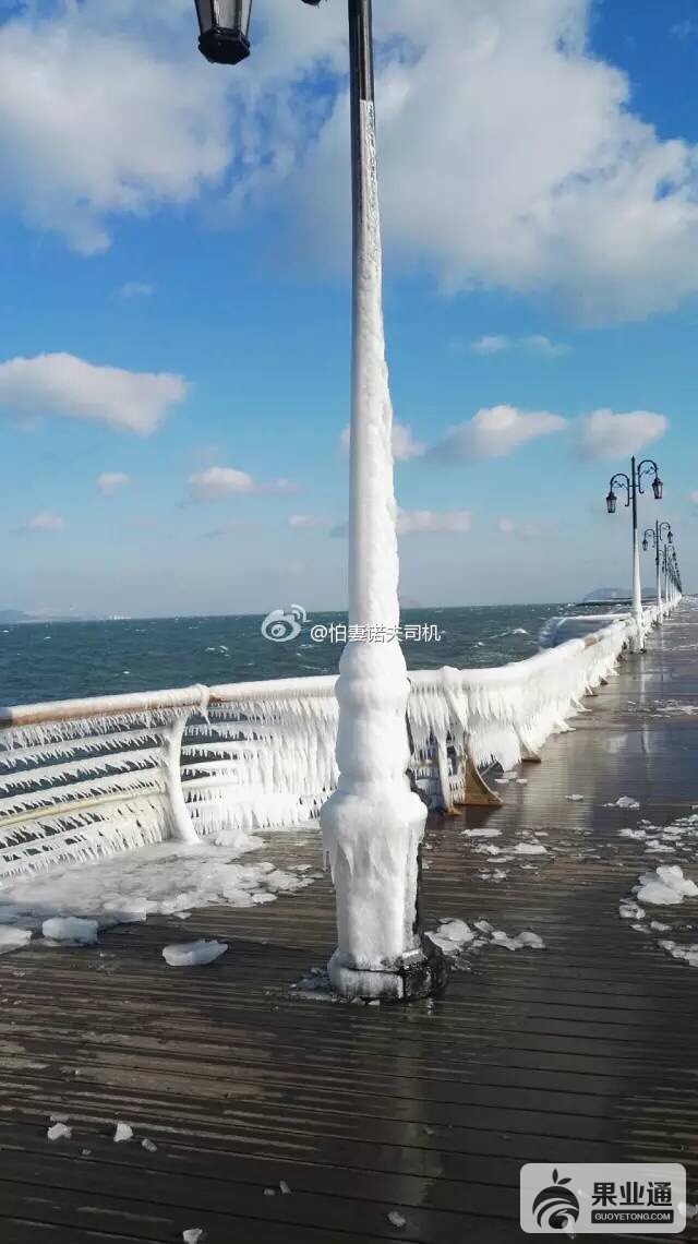 102100brlcsneklbncsfle.jpg