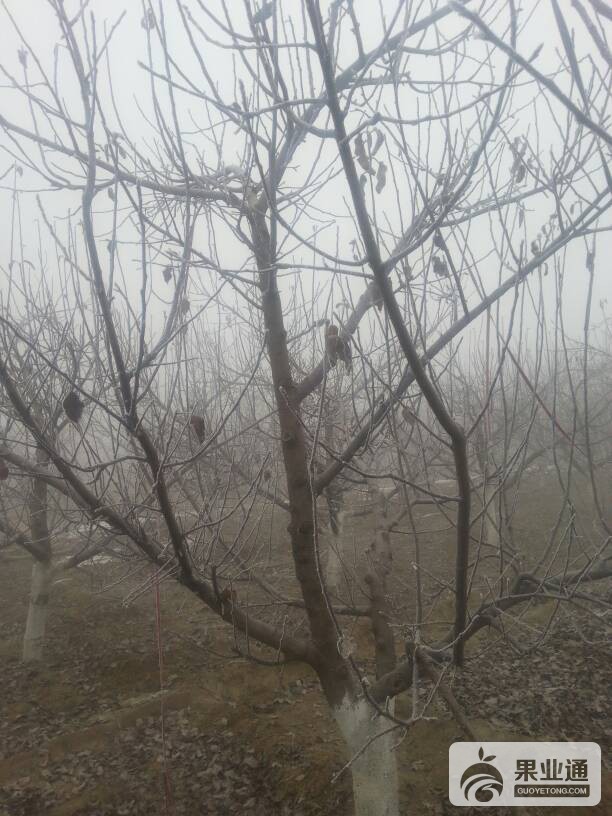 104042e6cucpifjzyixpcf.jpg