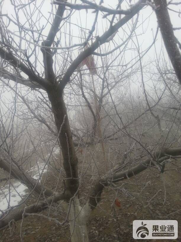 104044npjeip9zs4sqbi4i.jpg