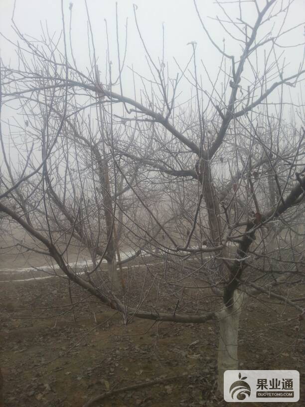 104204z2nb2qhgyiyysobs.jpg