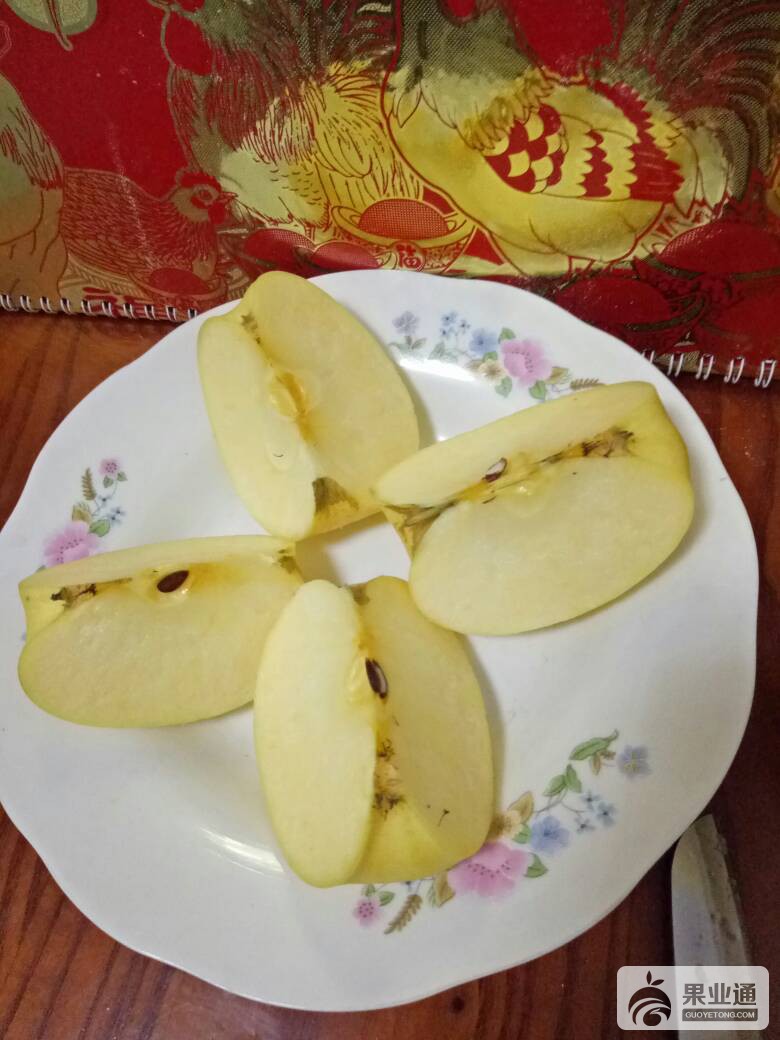 172236wggpzz67prnrzyrz.jpg