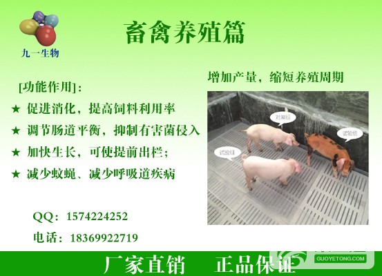 畜禽养殖.jpg