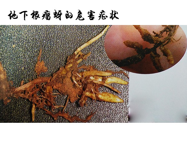 未标题-1.jpg