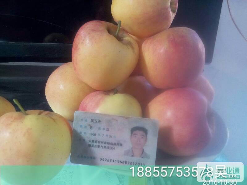 234409w4q3rtz833dtukpa.jpg