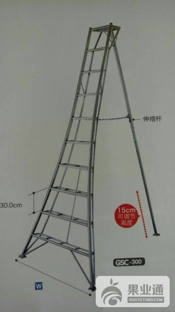 153746ei9e2cqm52yv28hh.jpg