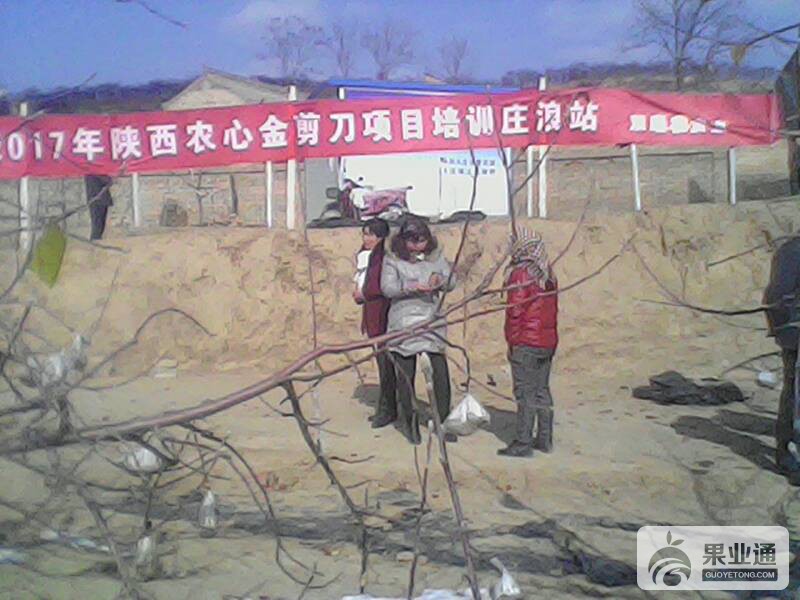 163555iexqgqhv1qg31qyz.jpg