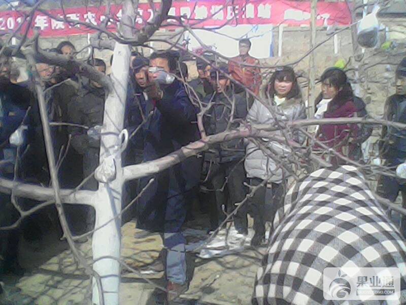 163600xy81vl8ocowp4218.jpg
