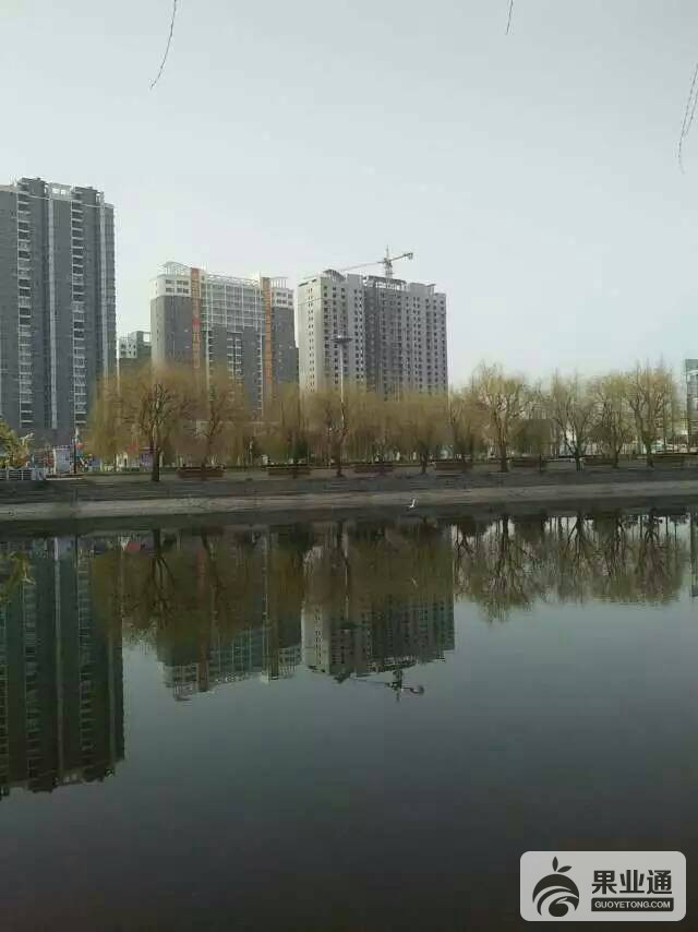 173334ozf8ee2oaazzvrr9.jpg