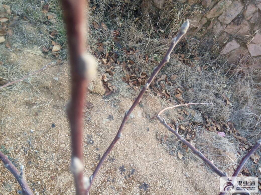 050322ktpeatbcp6iyztwe.jpg