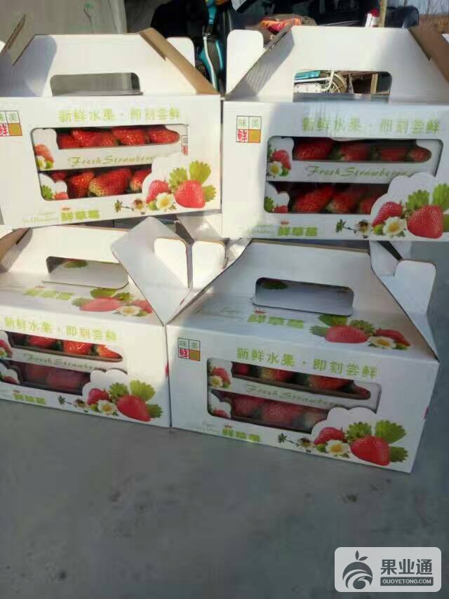 064734mpuji3dlnjrqqtsu.jpg