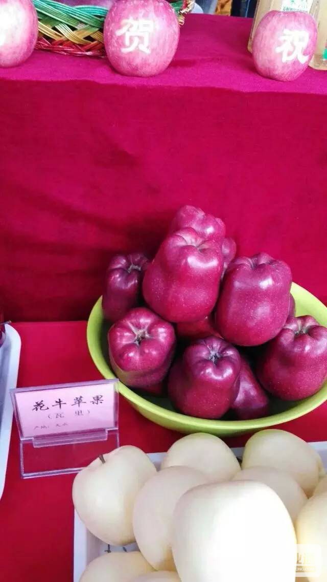 234325sxvh34vt02tzhxg6.jpeg