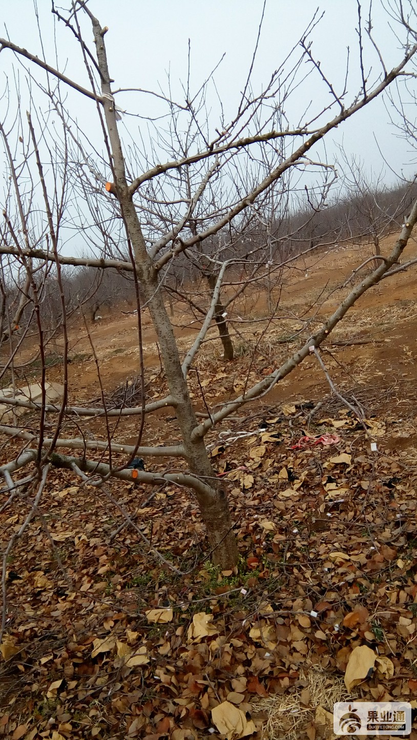 IMG_20170101_143607.jpg
