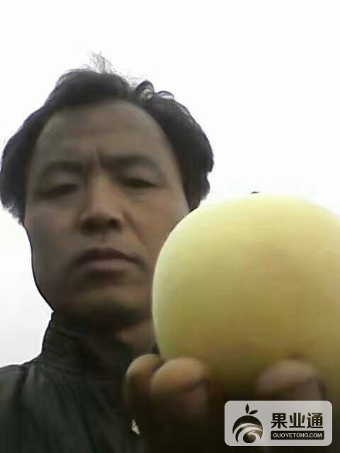 092445ztbbiikdaw3hkar5.jpg