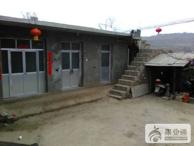 145036ytuihyhloyo3pthp.jpg