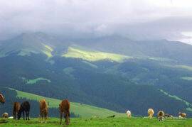 120054lhdh78sh52o4o4g4.jpg