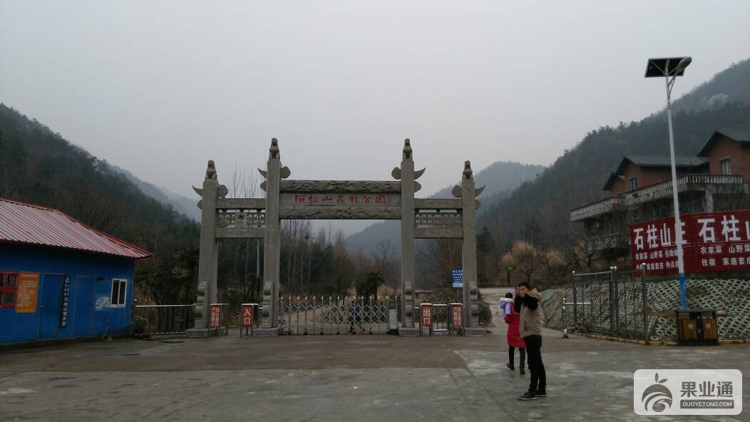151952boy636r15615yfyn.jpg