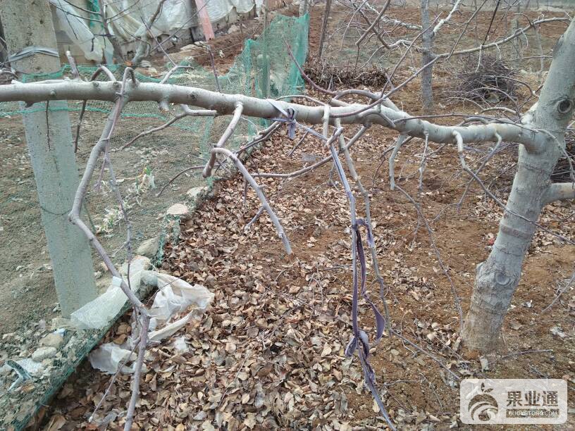 110246hbqe0iu3zebduzii.jpg