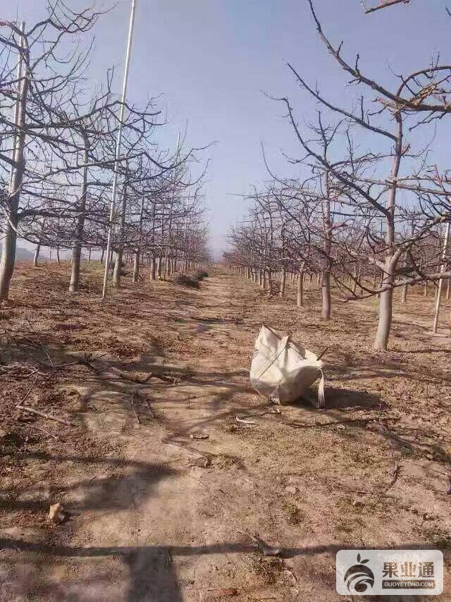 111929tyy32ym3umy9r2i0.jpeg