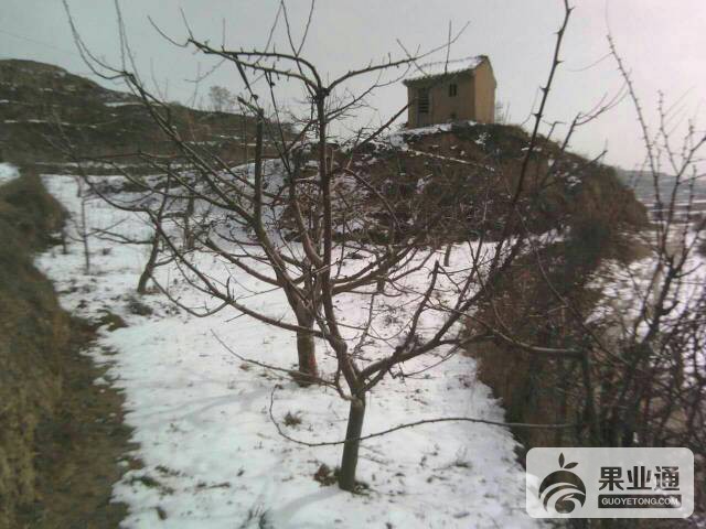 135341gao9au7njy8ui869.jpg