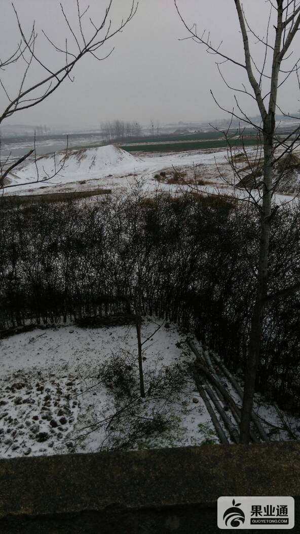 145056nt0ahzasspttyghe.jpg
